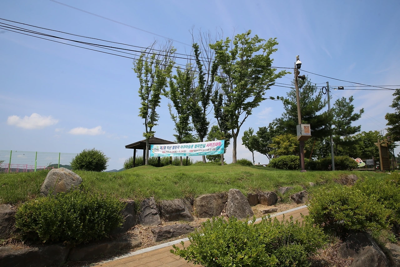 MG0A4510_новый размер.JPG