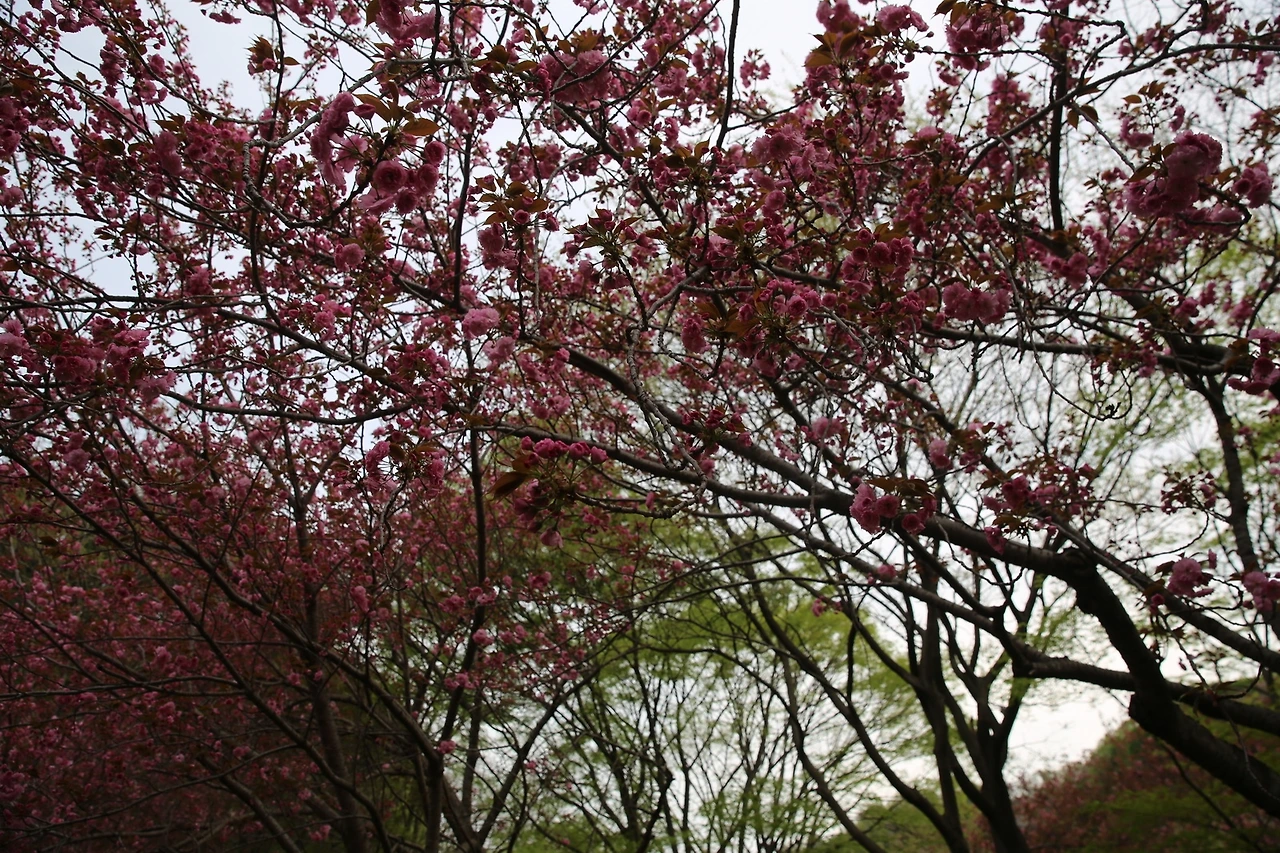 MG0A9533_новый размер.JPG