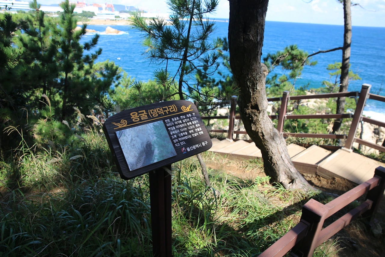 MG0A3886_новый размер.JPG