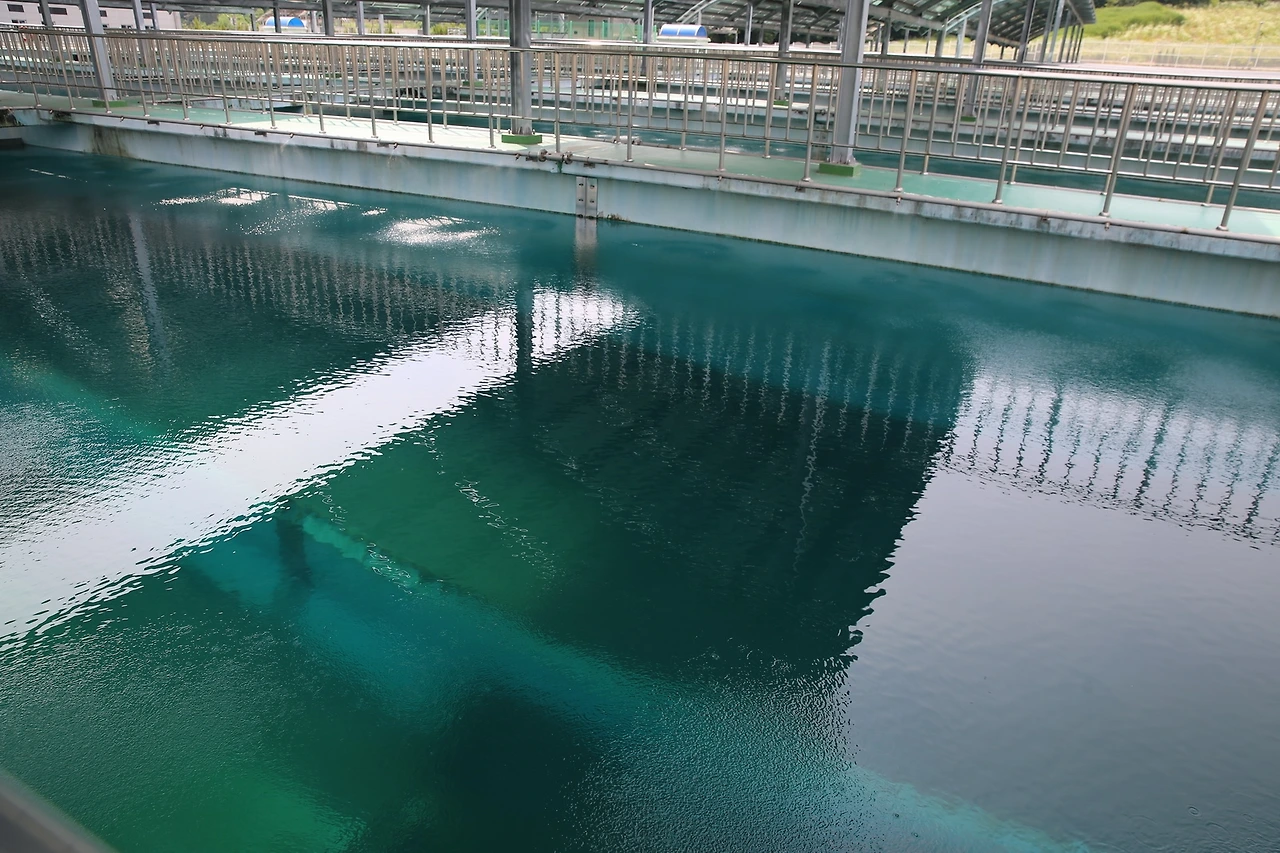 MG0A8079_новый размер.JPG