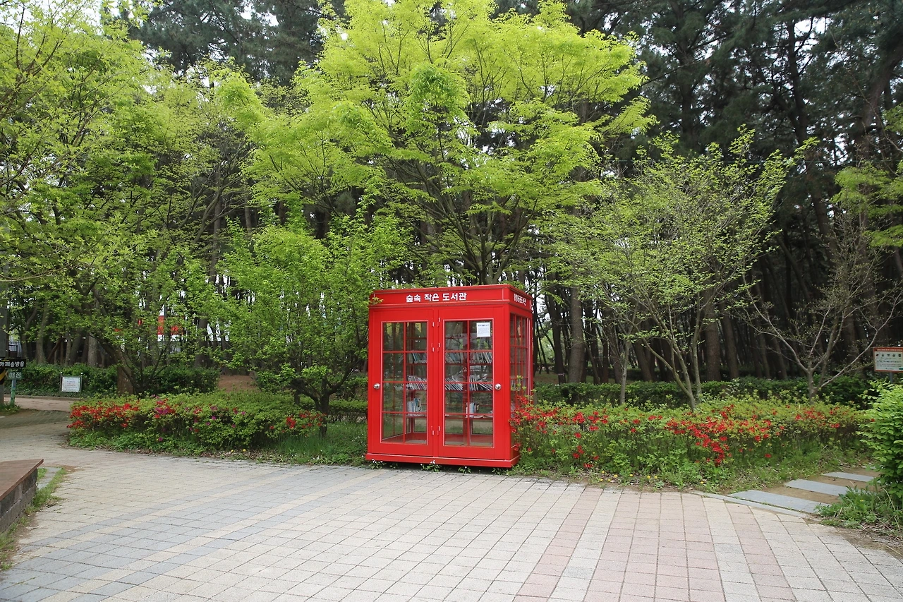 MG0A0537_новый размер.JPG