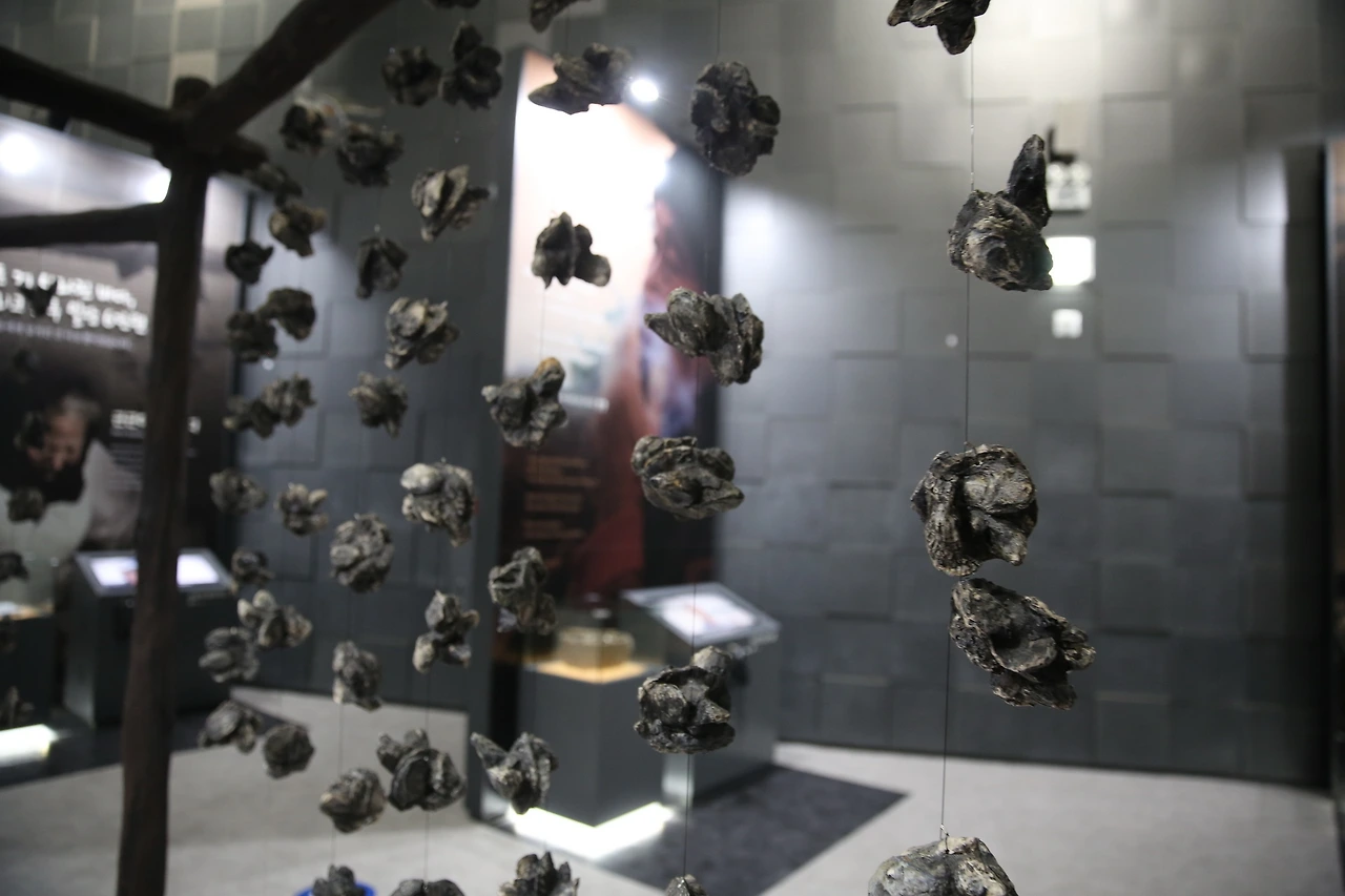 MG0A1328_новый размер.JPG