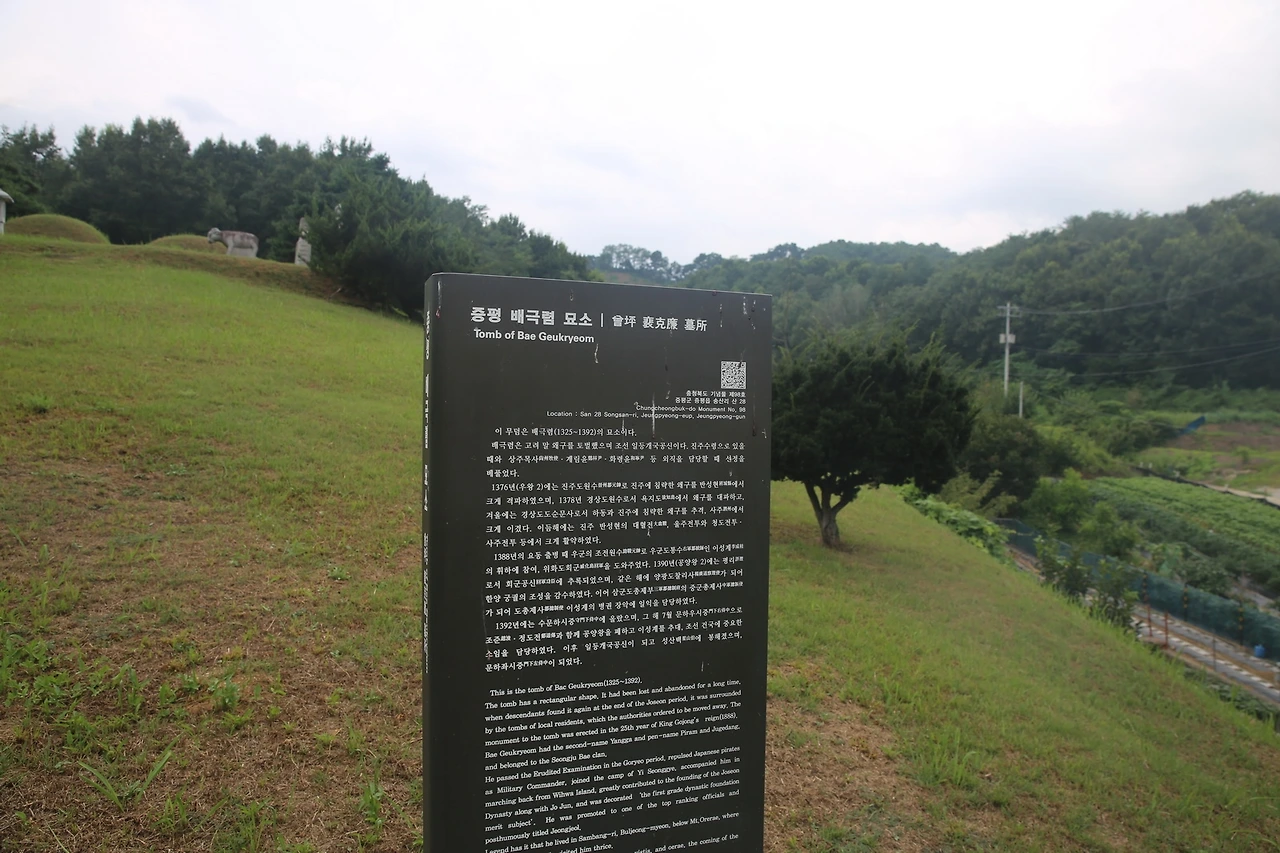 MG0A9651_новый размер.JPG