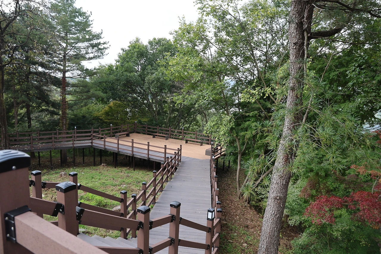 0R5A1310_новый размер.JPG