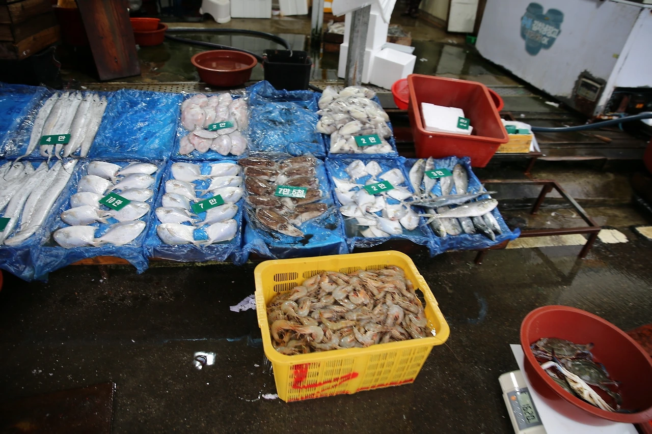 MG0A2522_новый размер.JPG