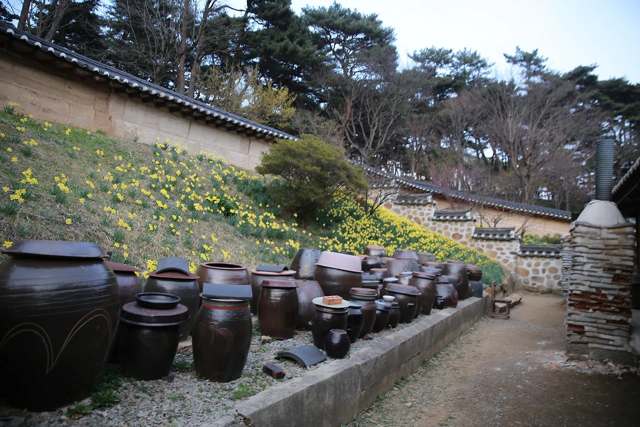 MG0A6023_новый размер.JPG