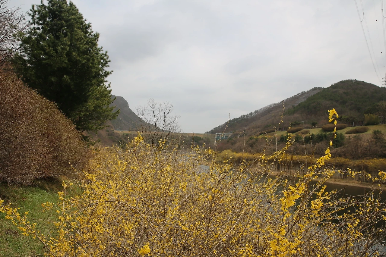 MG0A7977_новый размер.JPG