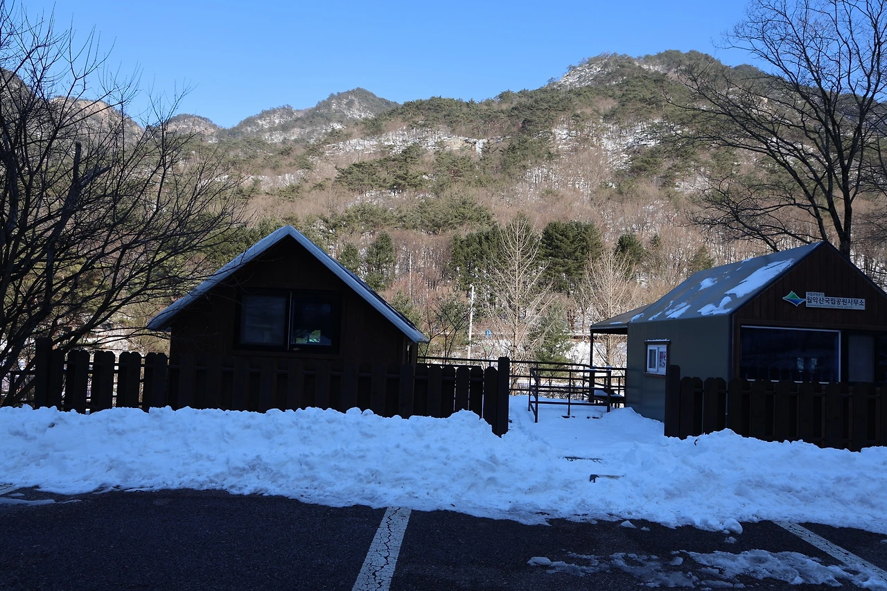 0R5A8129_новый размер.JPG