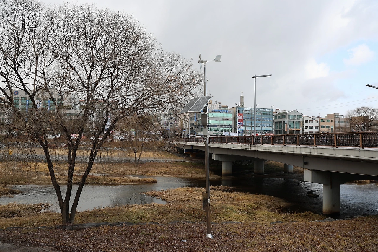 0R5A0102_новый размер.JPG