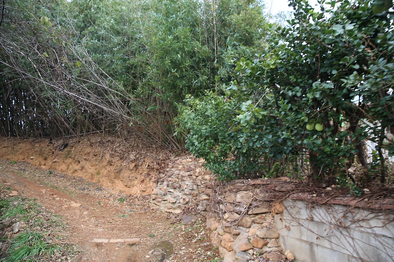 MG0A1243_новый размер.JPG