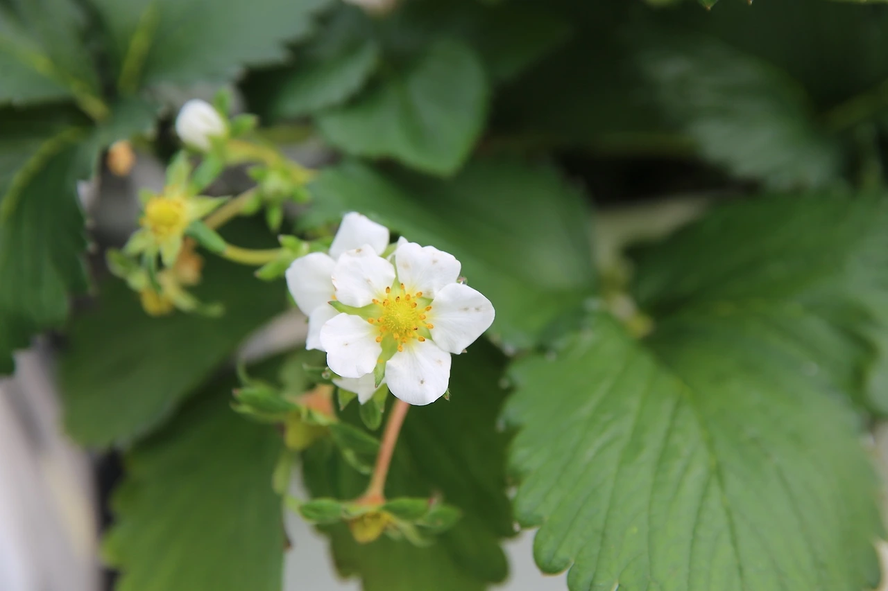 MG0A5292_новый размер.JPG