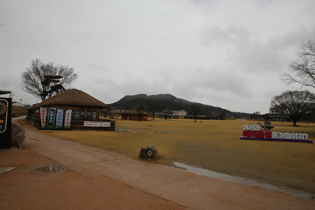 MG0A0605_новый размер.JPG