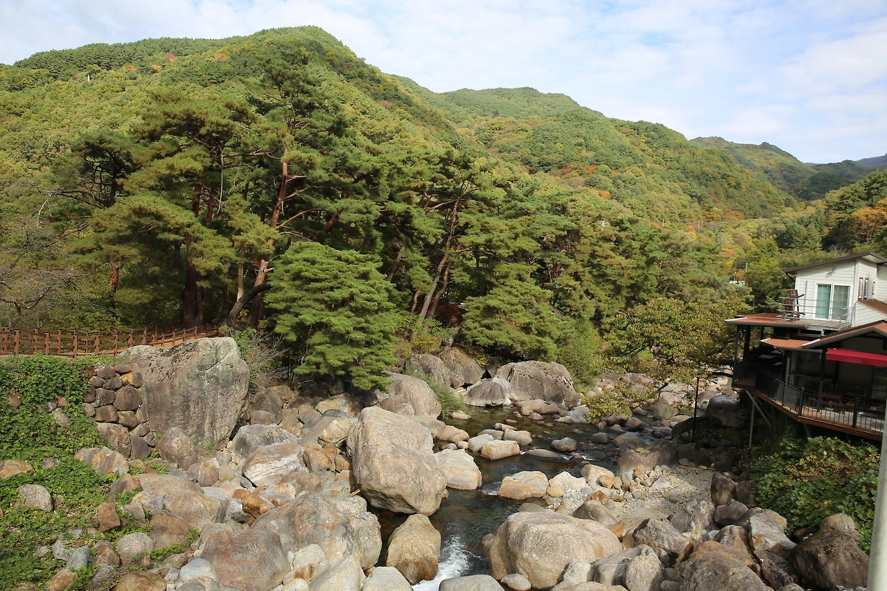 MG0A7863_новый размер.JPG