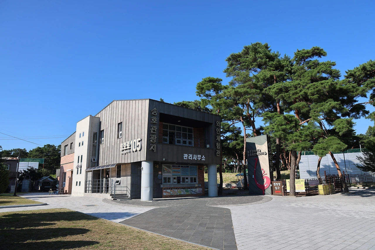 0R5A8085_новый размер.JPG