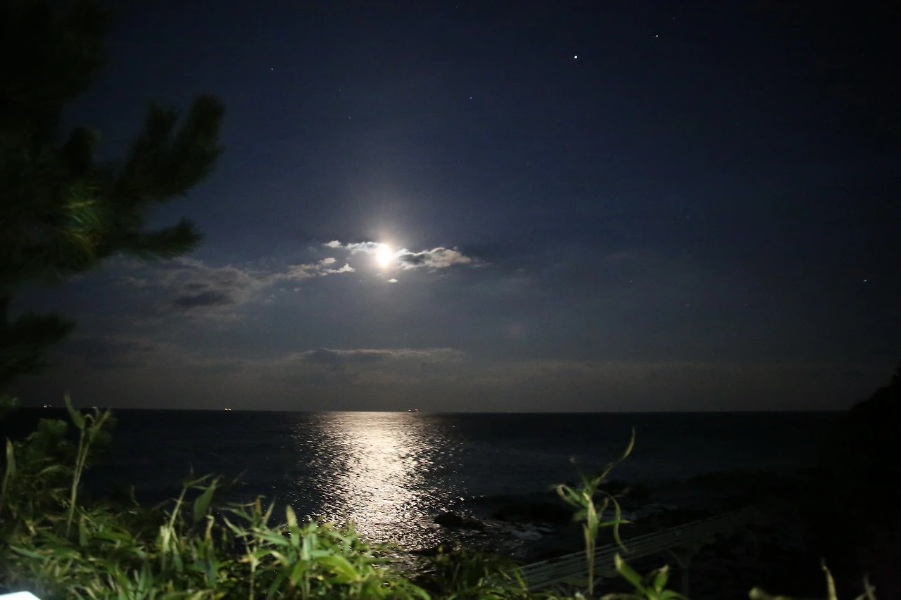 MG0A4712_новый размер.JPG