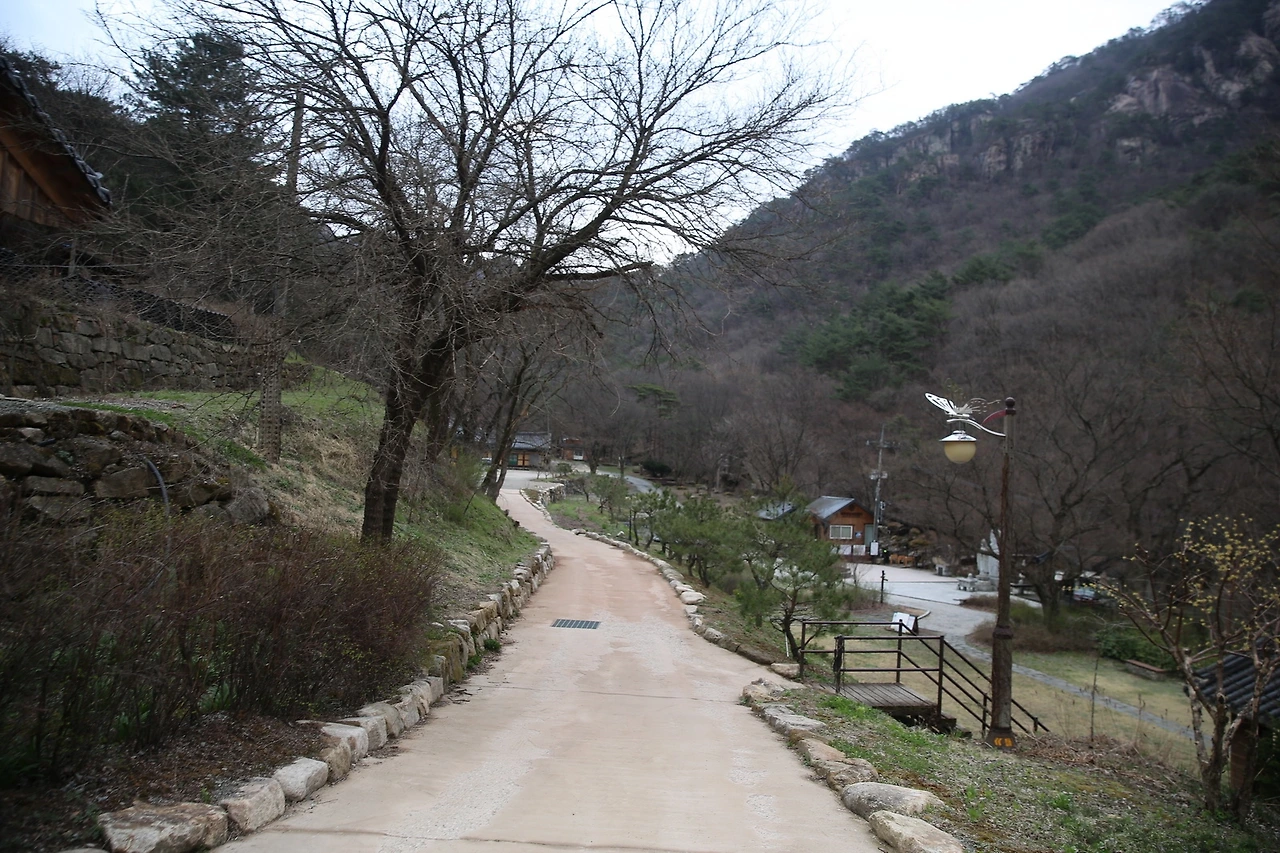 MG0A8473_новый размер.JPG