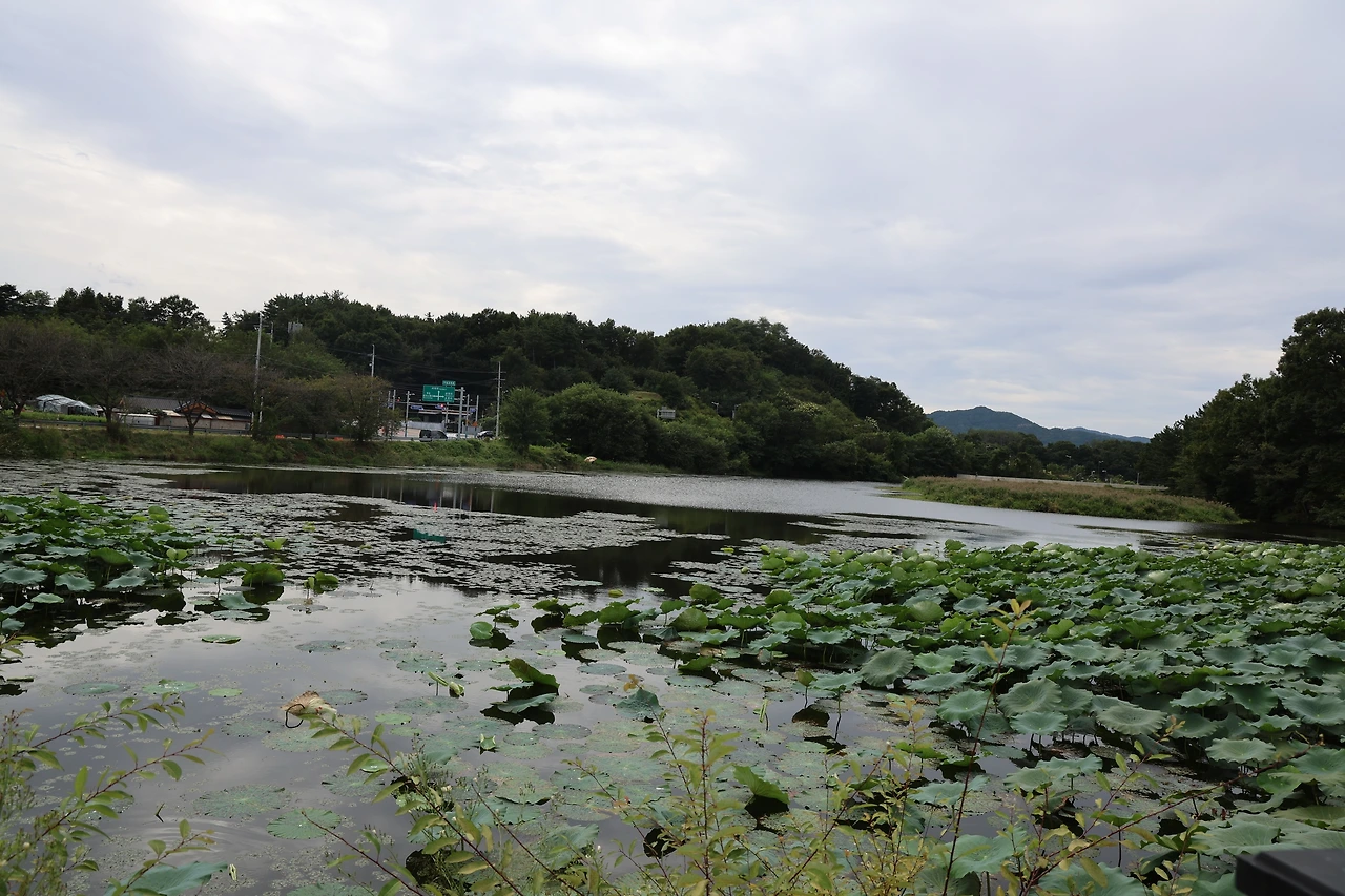 0R5A7758_новый размер.JPG