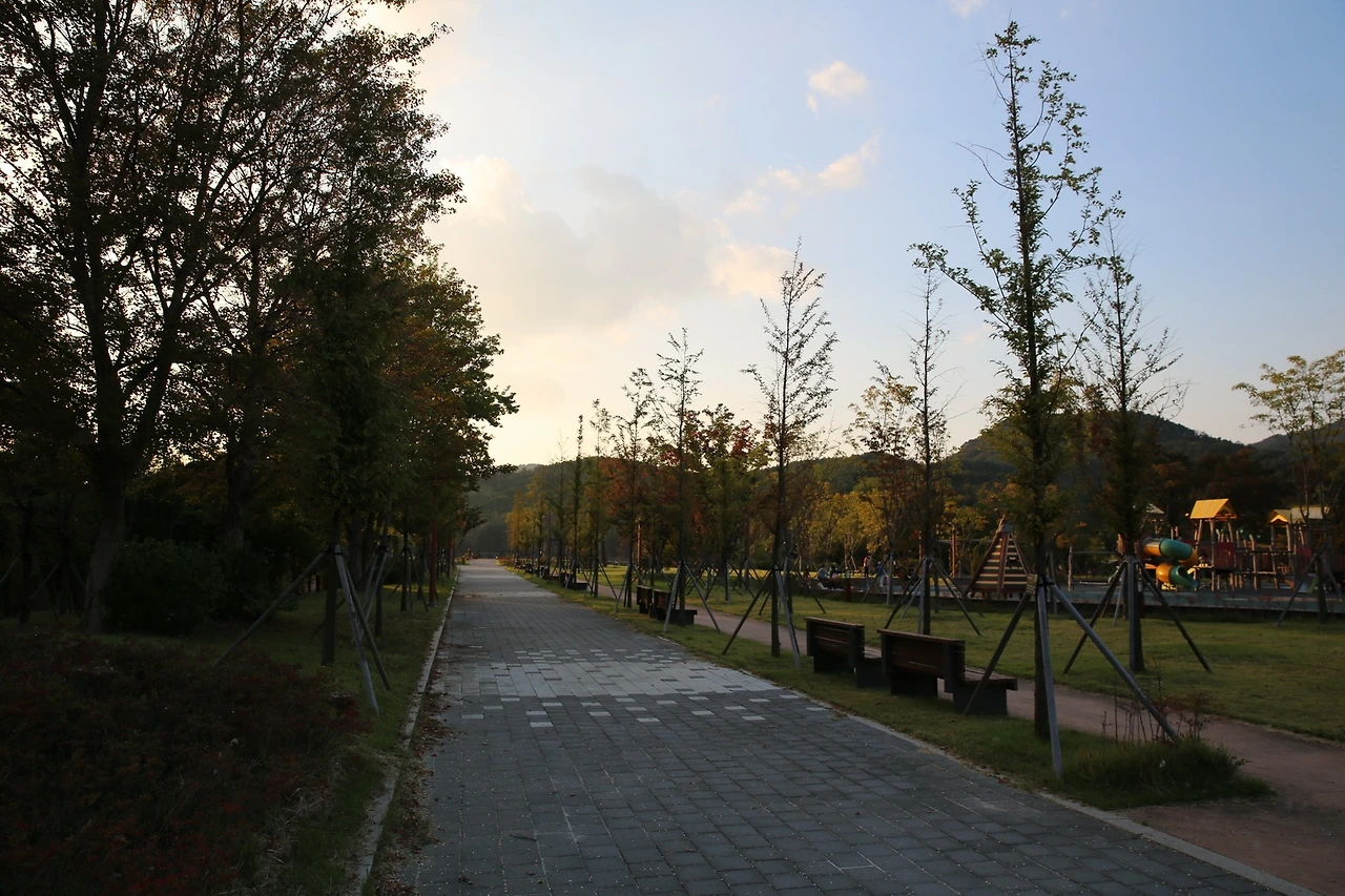 MG0A6599_новый размер.JPG