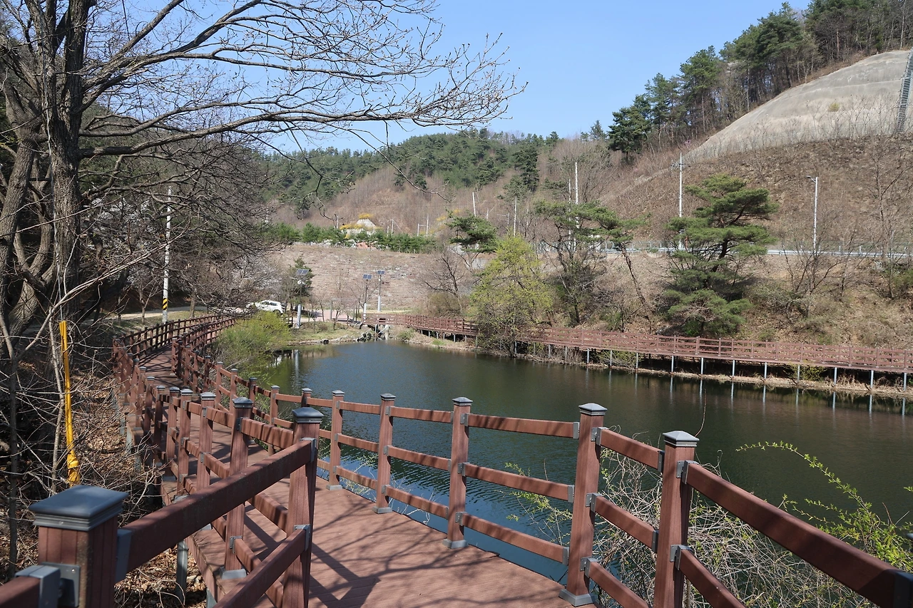 0R5A6476_новый размер.JPG