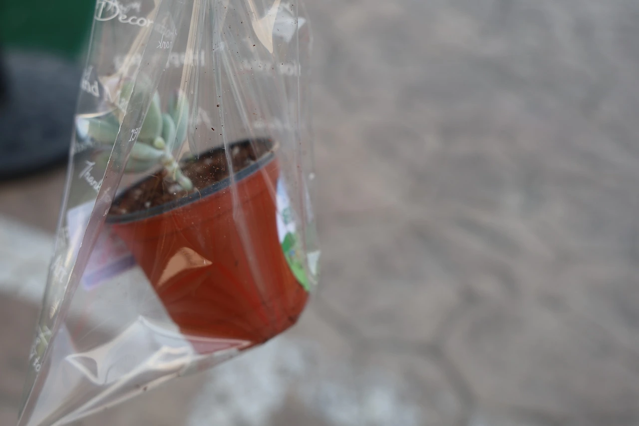 0R5A4872_новый размер.JPG