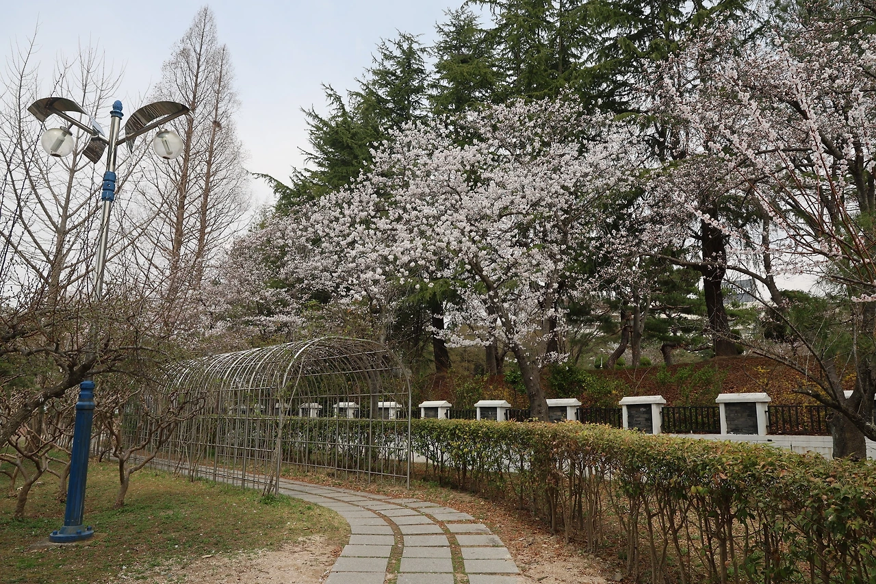 0R5A4611_новый размер.JPG