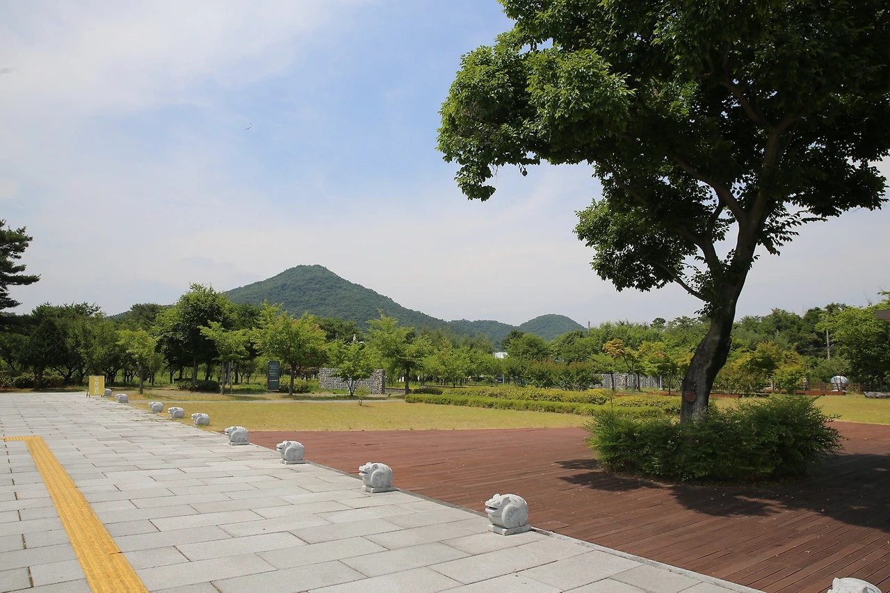 MG0A0243_новый размер.JPG