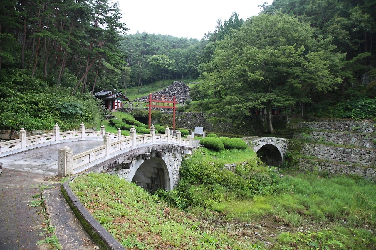 MG0A8481_новый размер.JPG