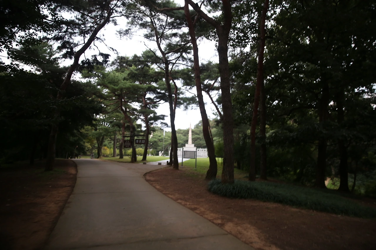 MG0A3745_новый размер.JPG