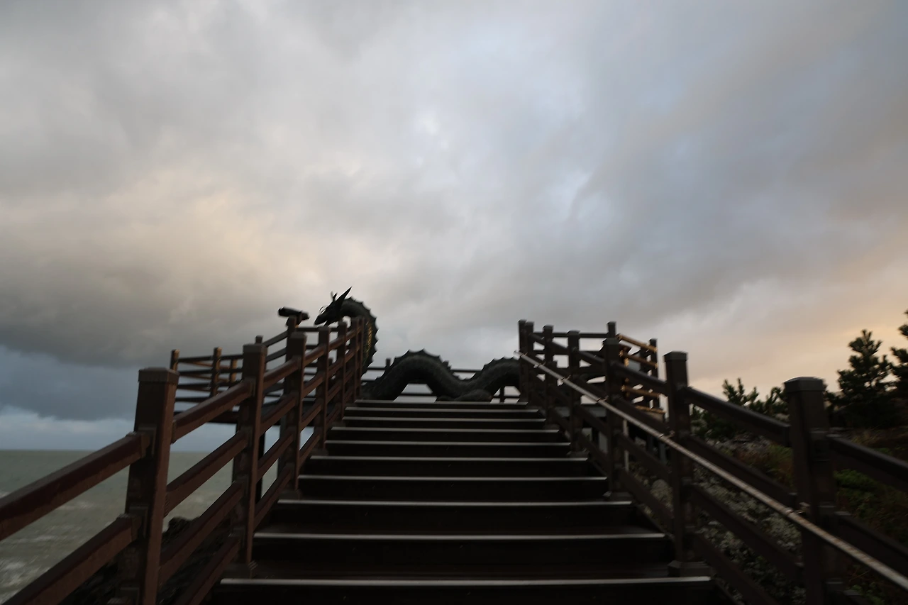 0R5A0753_новый размер.JPG