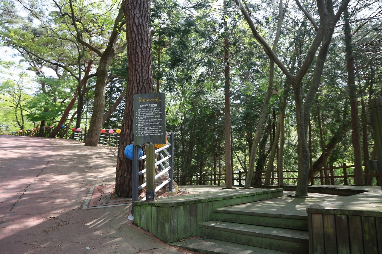 0R5A8337_новый размер.JPG