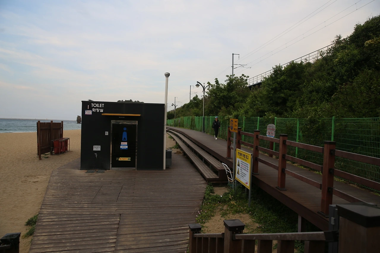 MG0A0583_новый размер.JPG