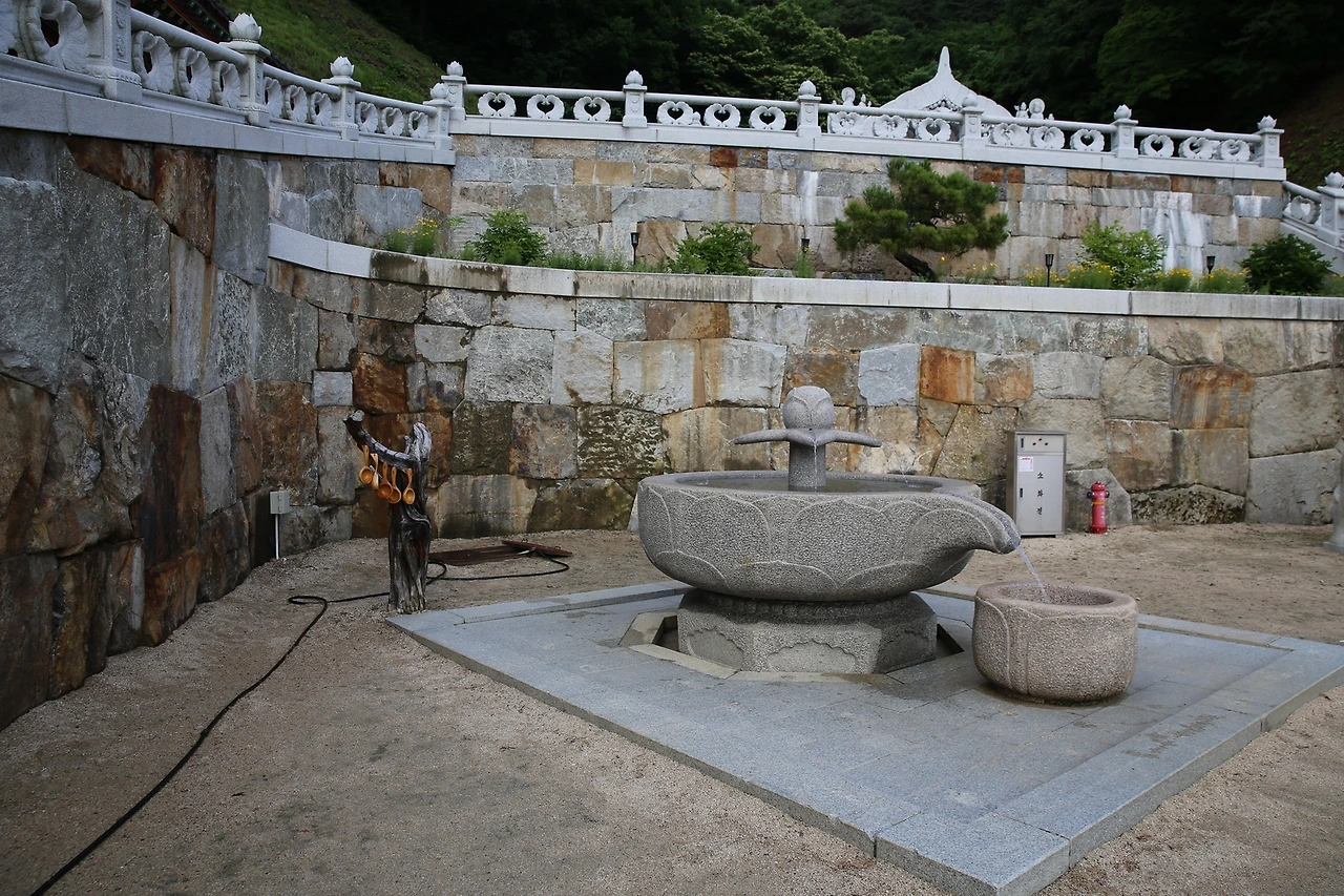 MG0A0528_новый размер.JPG