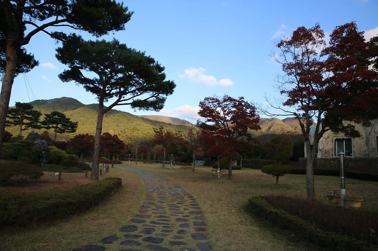 MG0A0655_новый размер.JPG