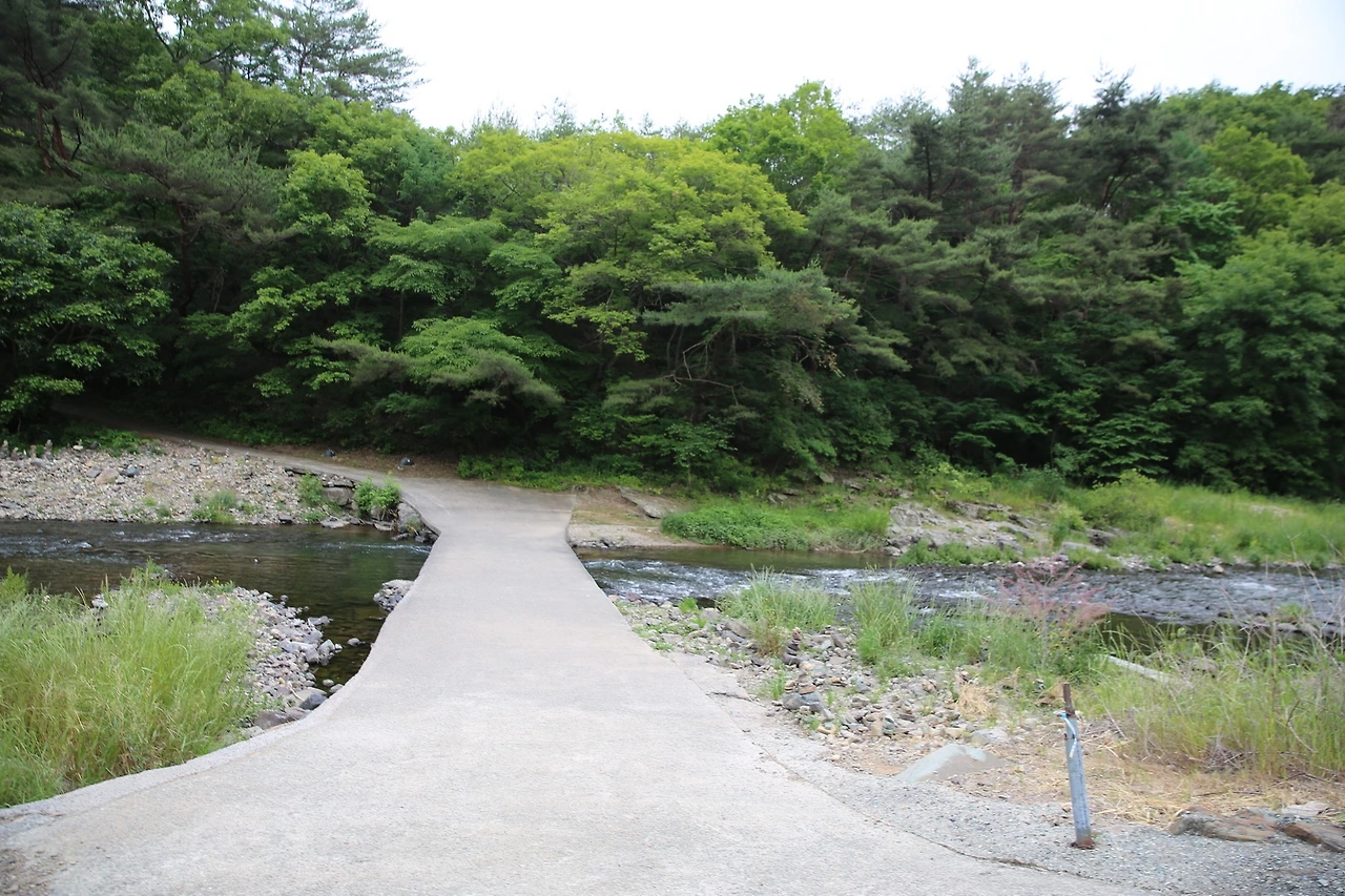 MG0A5505_новый размер.JPG