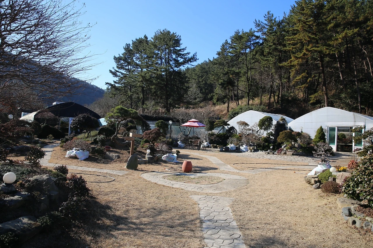 MG0A4781_новый размер.JPG