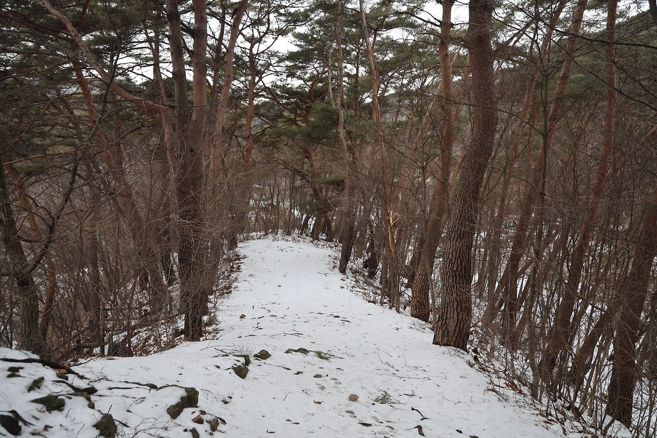 0R5A1726_новый размер.JPG