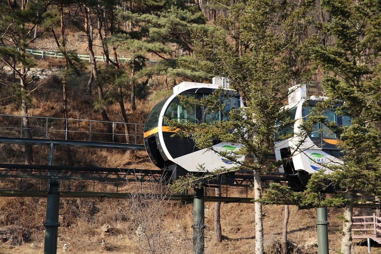 MG0A5462_новый размер.JPG