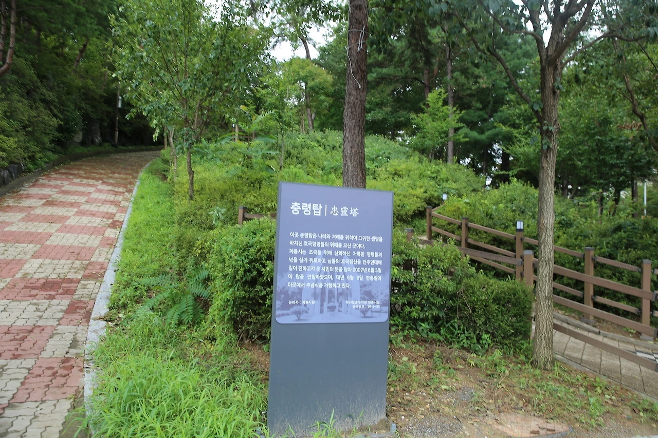 MG0A8708_новый размер.JPG