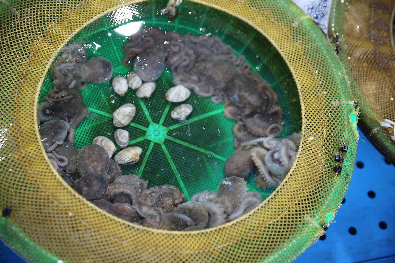 MG0A0885_новый размер.JPG