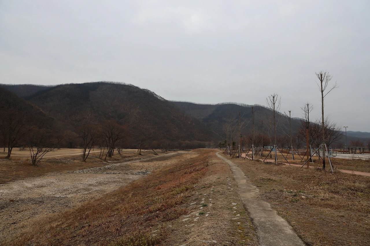 0R5A6633_новый размер.JPG