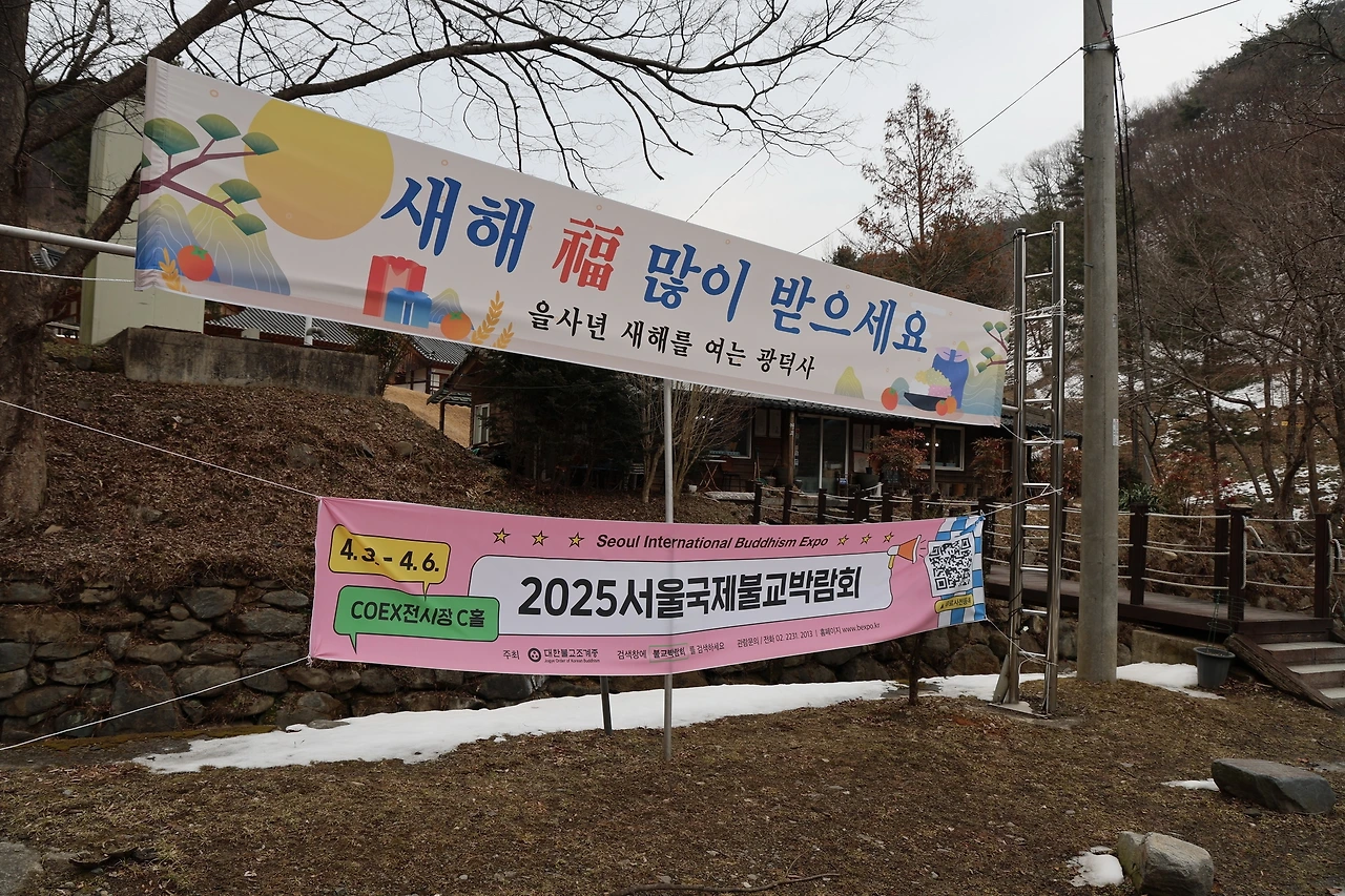 0R5A9566_новый размер.JPG