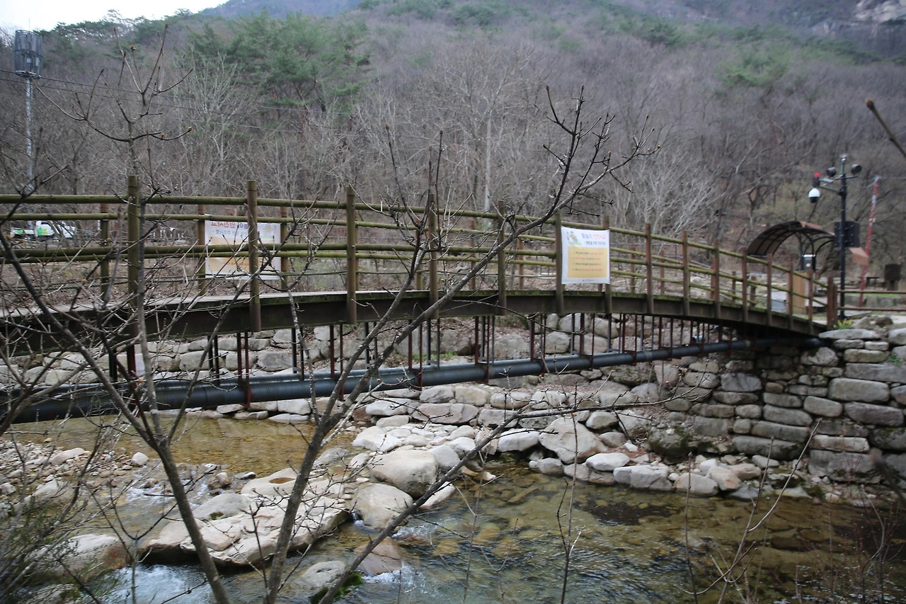 MG0A8414_новый размер.JPG