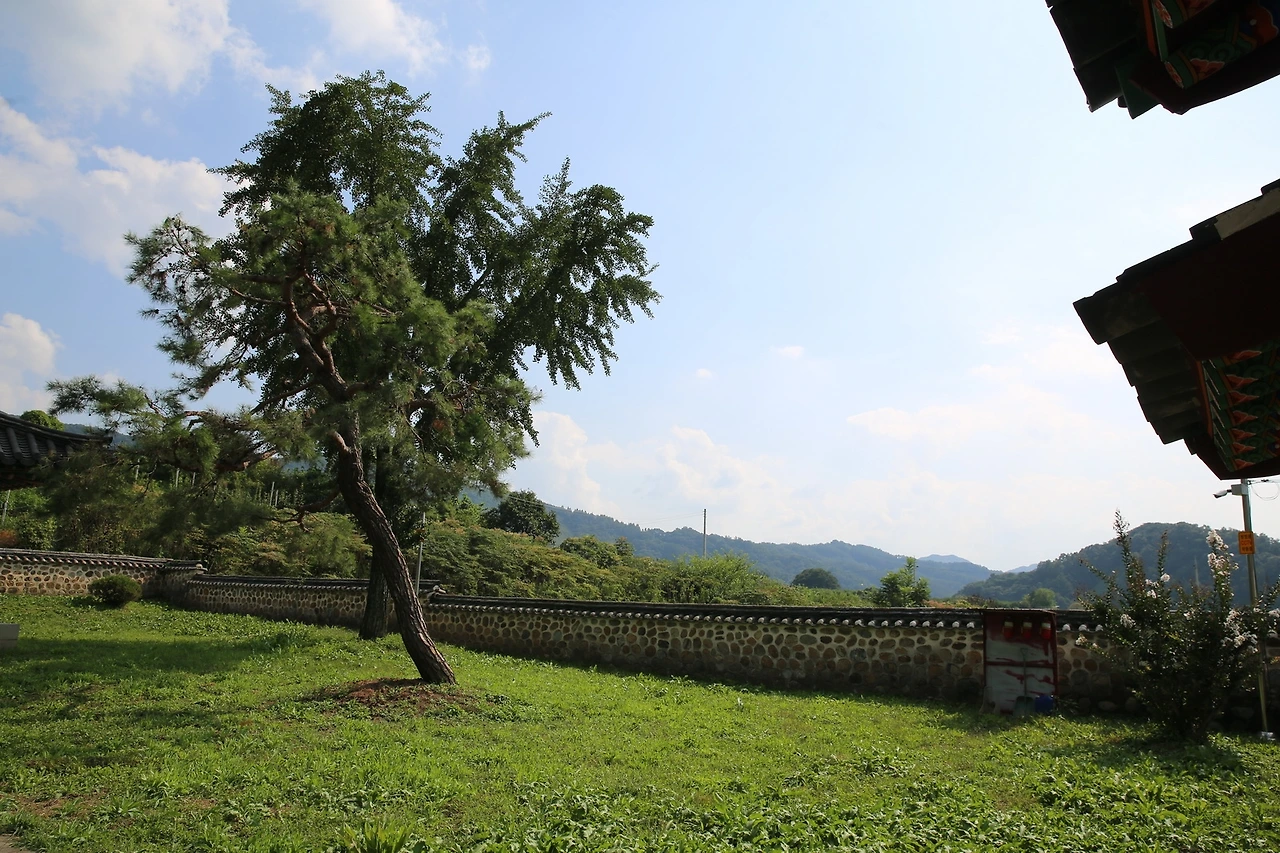 MG0A1537_новый размер.JPG