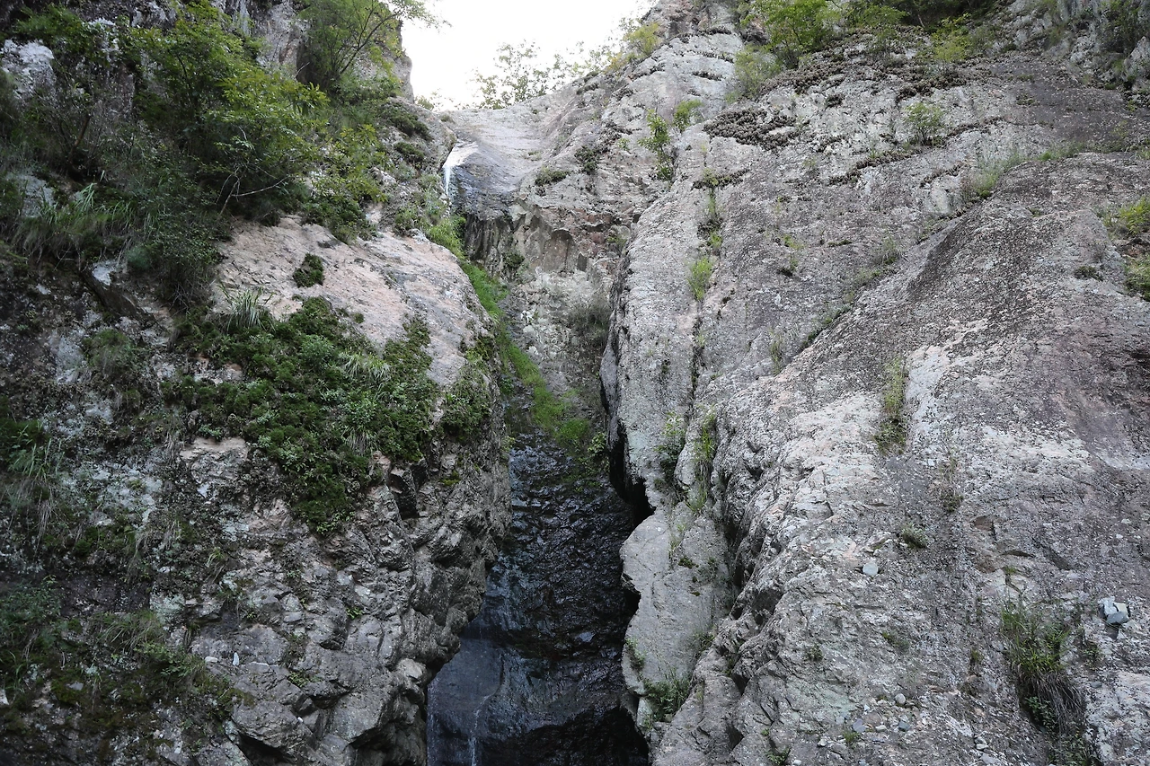 0R5A2481_новый размер.JPG