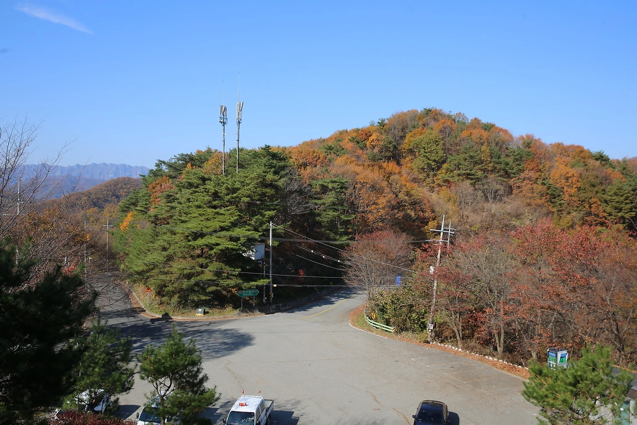 MG0A9997_новый размер.JPG