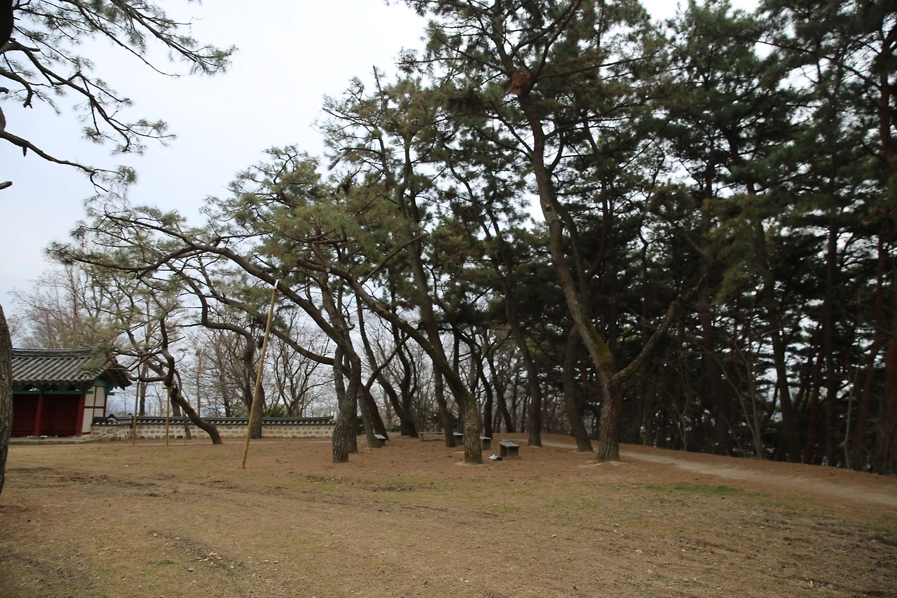 MG0A4630_новый размер.JPG