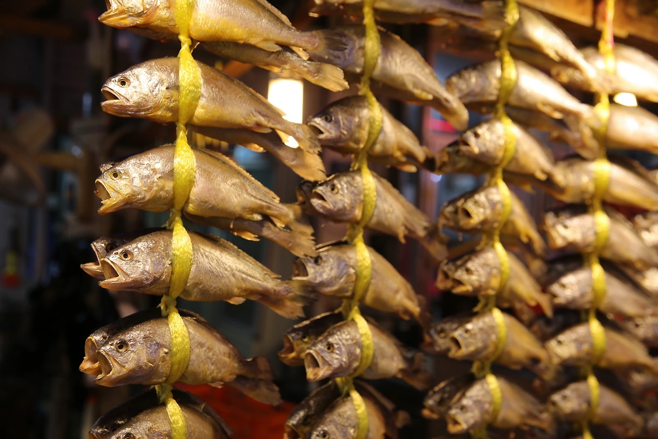 MG0A9164_новый размер.JPG