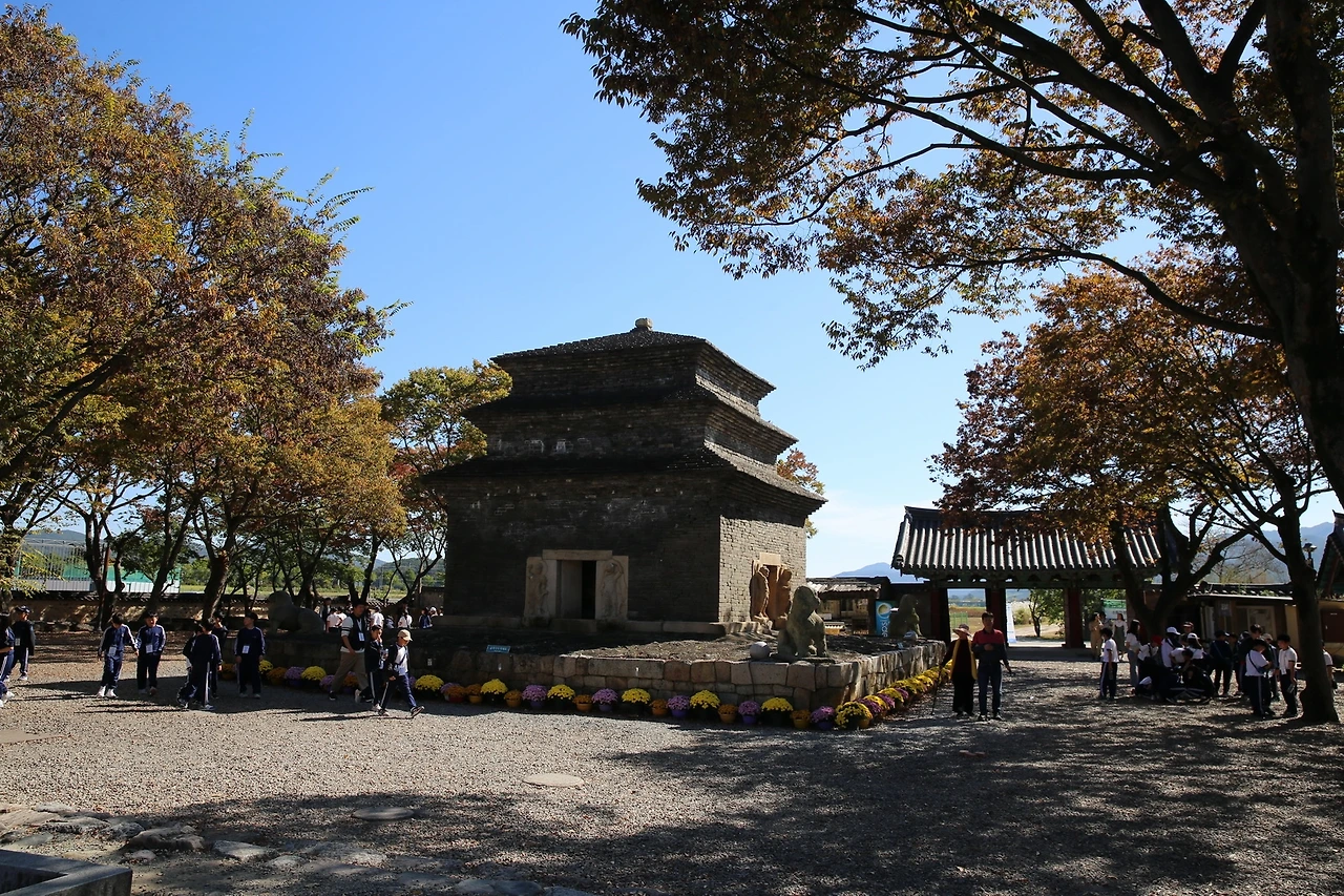 MG0A6781_новый размер.JPG