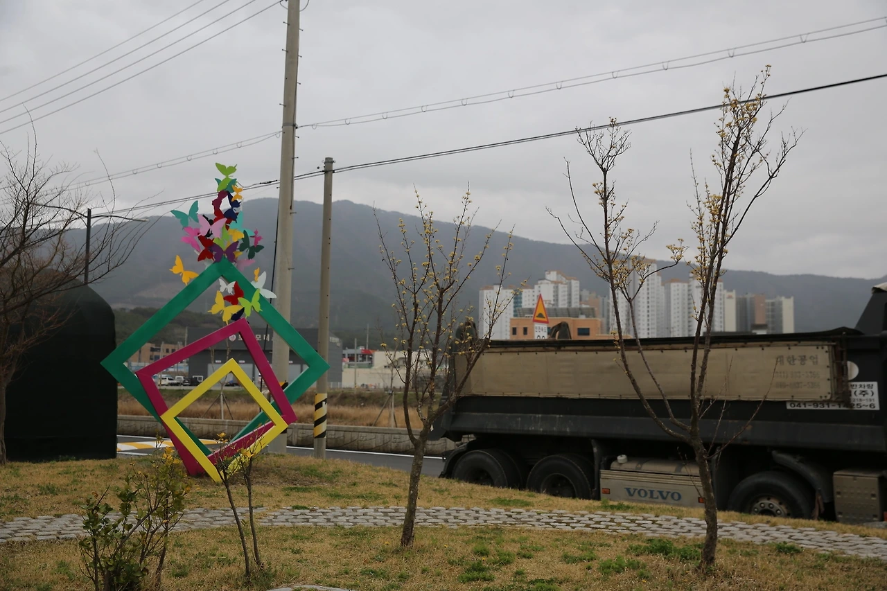 MG0A8120_новый размер.JPG