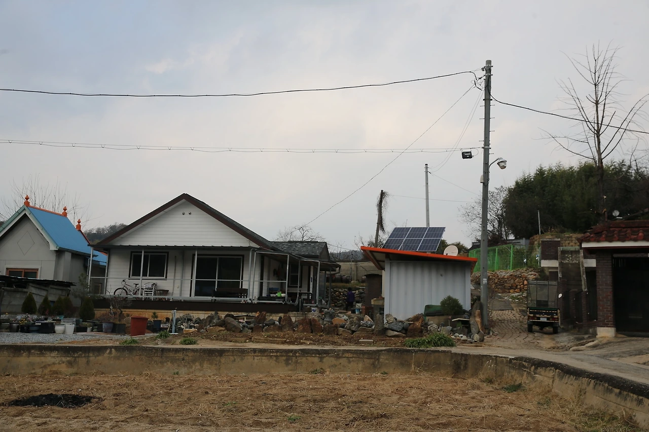 MG0A1238_новый размер.JPG